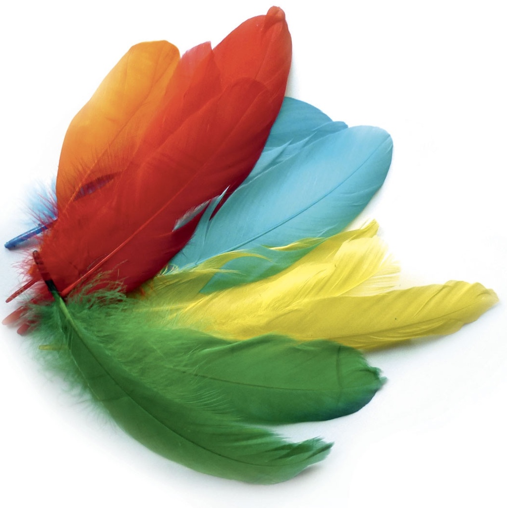 15CM FEATHERS, BAG OF 50