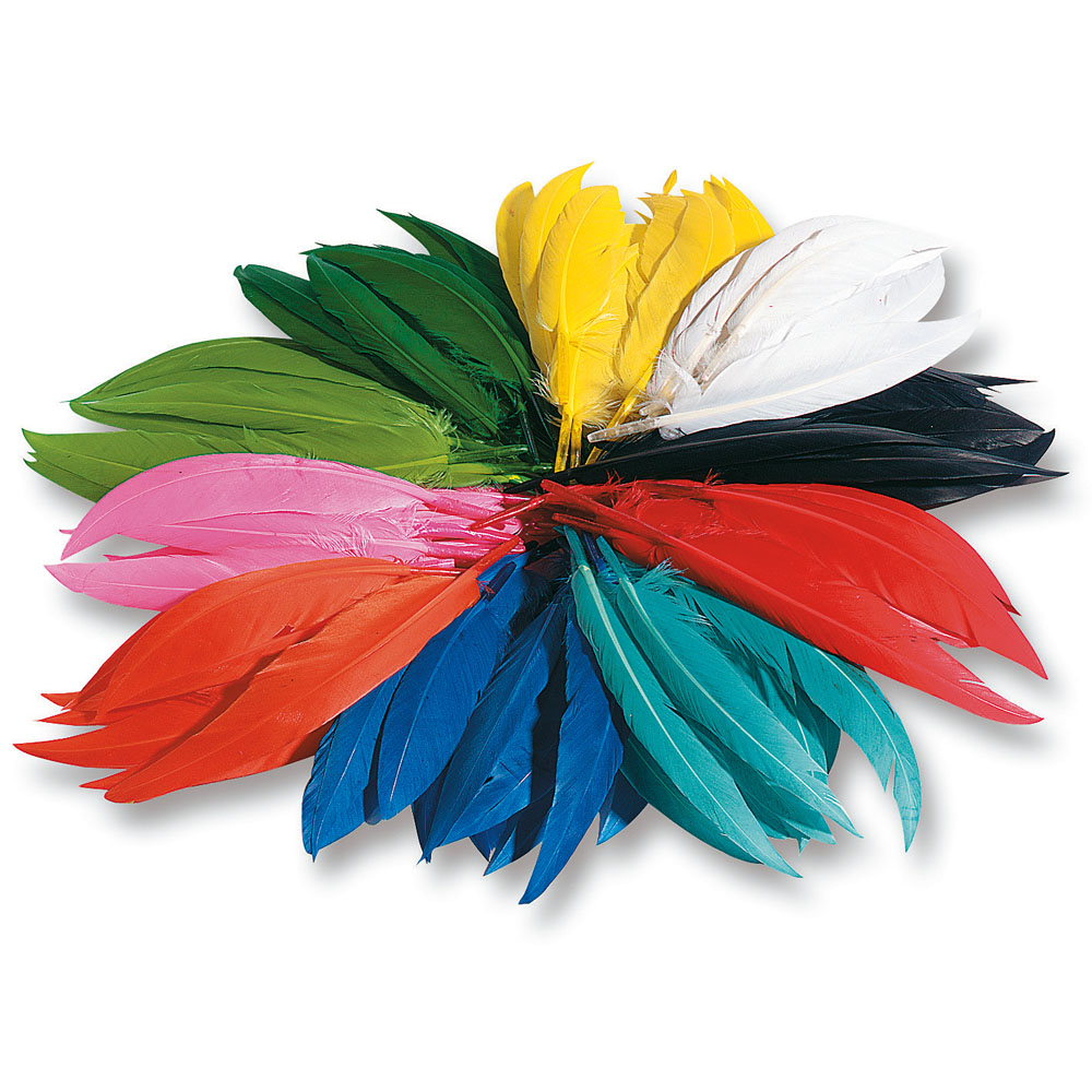 PLUMES D'INDIENS 10 À 20CM, 100GR