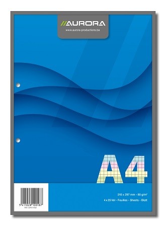 5MM 4-KLEUREN CURSUSBLOK A4 100 F.