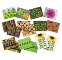 CARTES D'ACTIVITES, LES COCCINELLES