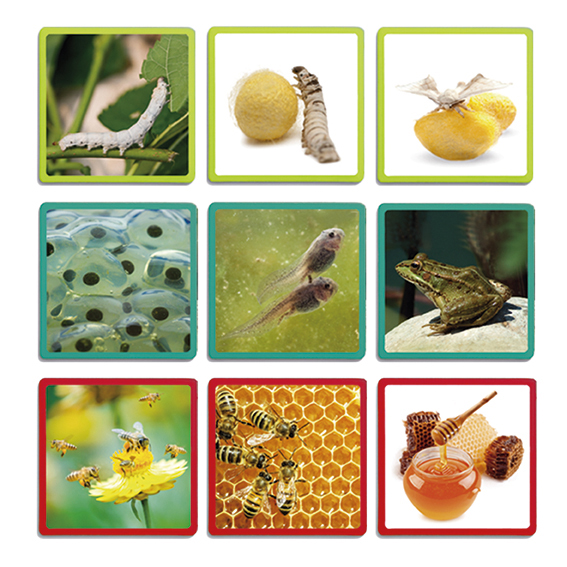 SPEL VAN SEQUENTIES, NATUUR