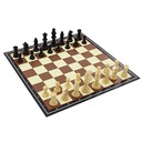 CLASSIC CHESS GAME