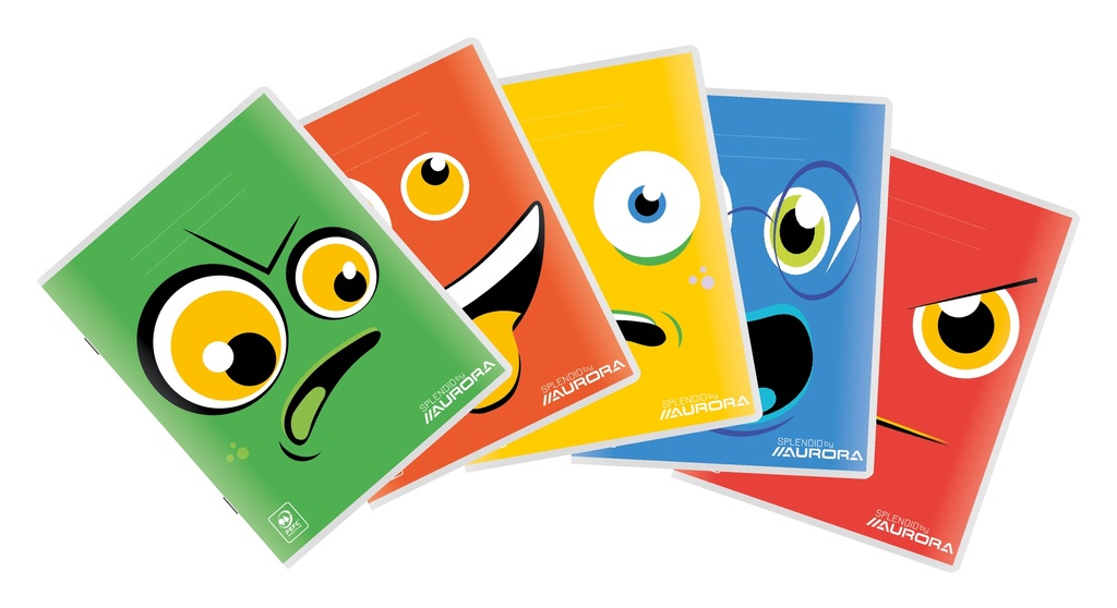 48 FTS 10MM NOTEBOOKS / PACK OF 15
