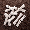 DINOSAUR BONES