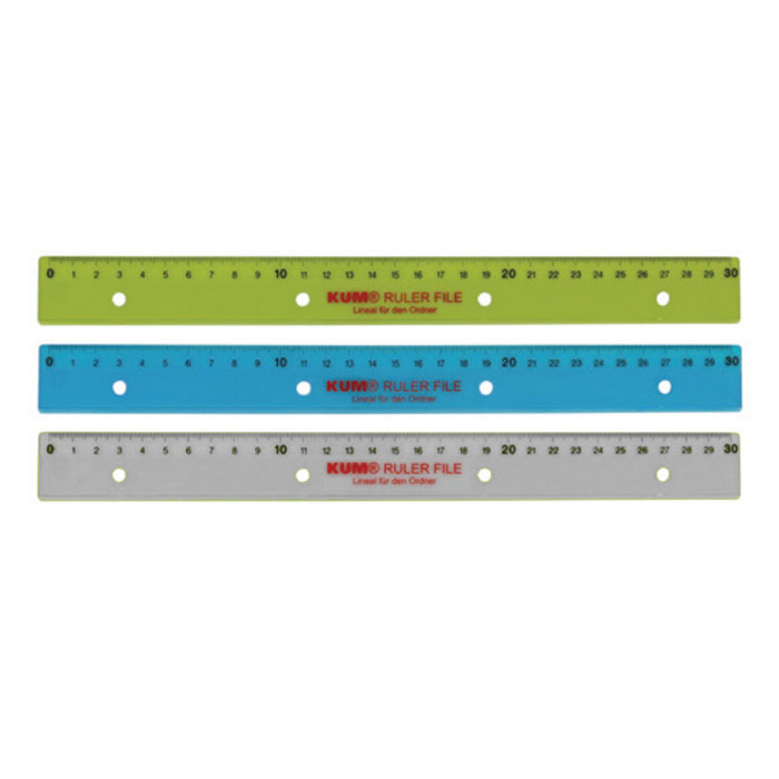 30CM PLASTIC SLAT 4 HOLES