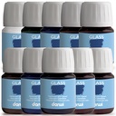 PEINTURE VITRAIL, ÉTUI DE 10 ASSORTIS