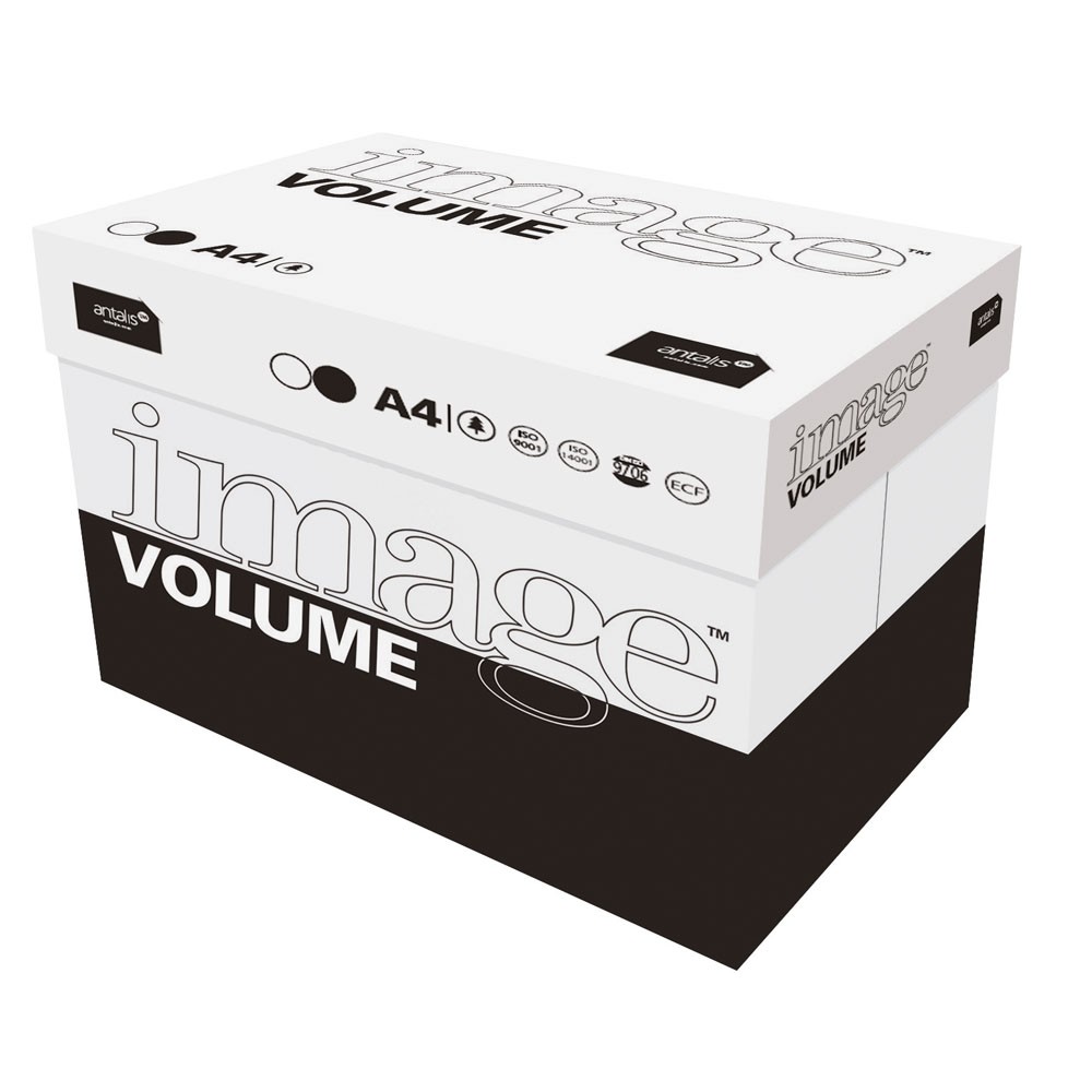 PAPIER REPRO A4 80GRS/BTE DE 2500F