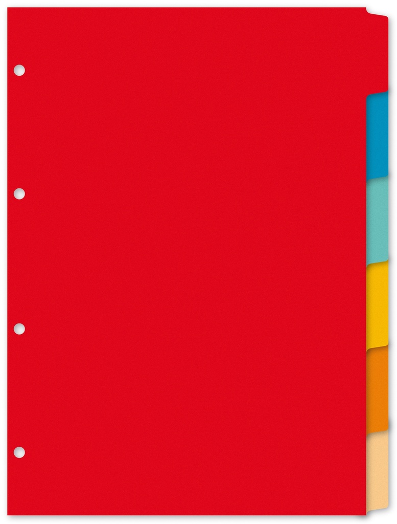 A4 CARDBOARD DIVIDERS 6P.