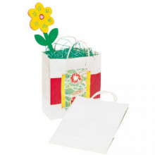 SACS PAPIER KRAFT BLANC, LOT DE 20