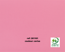 CARTON COUL.QUADRILLE 2 FACES 50 x 65 cm *A LA COULEUR