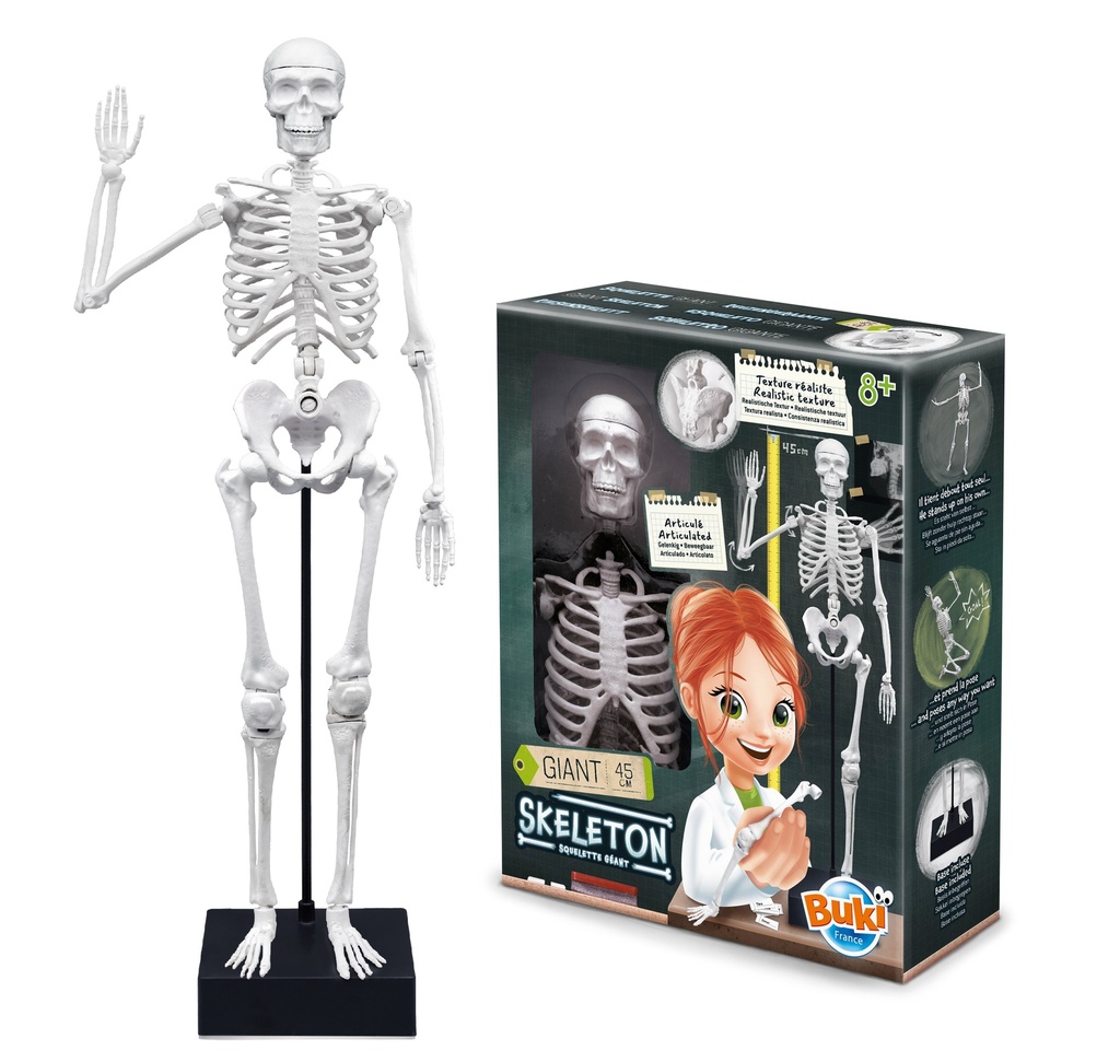 SQUELETTE 45 CM