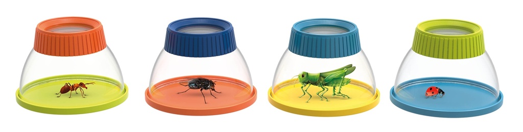 INSECTOLOUPE, THE PLAY