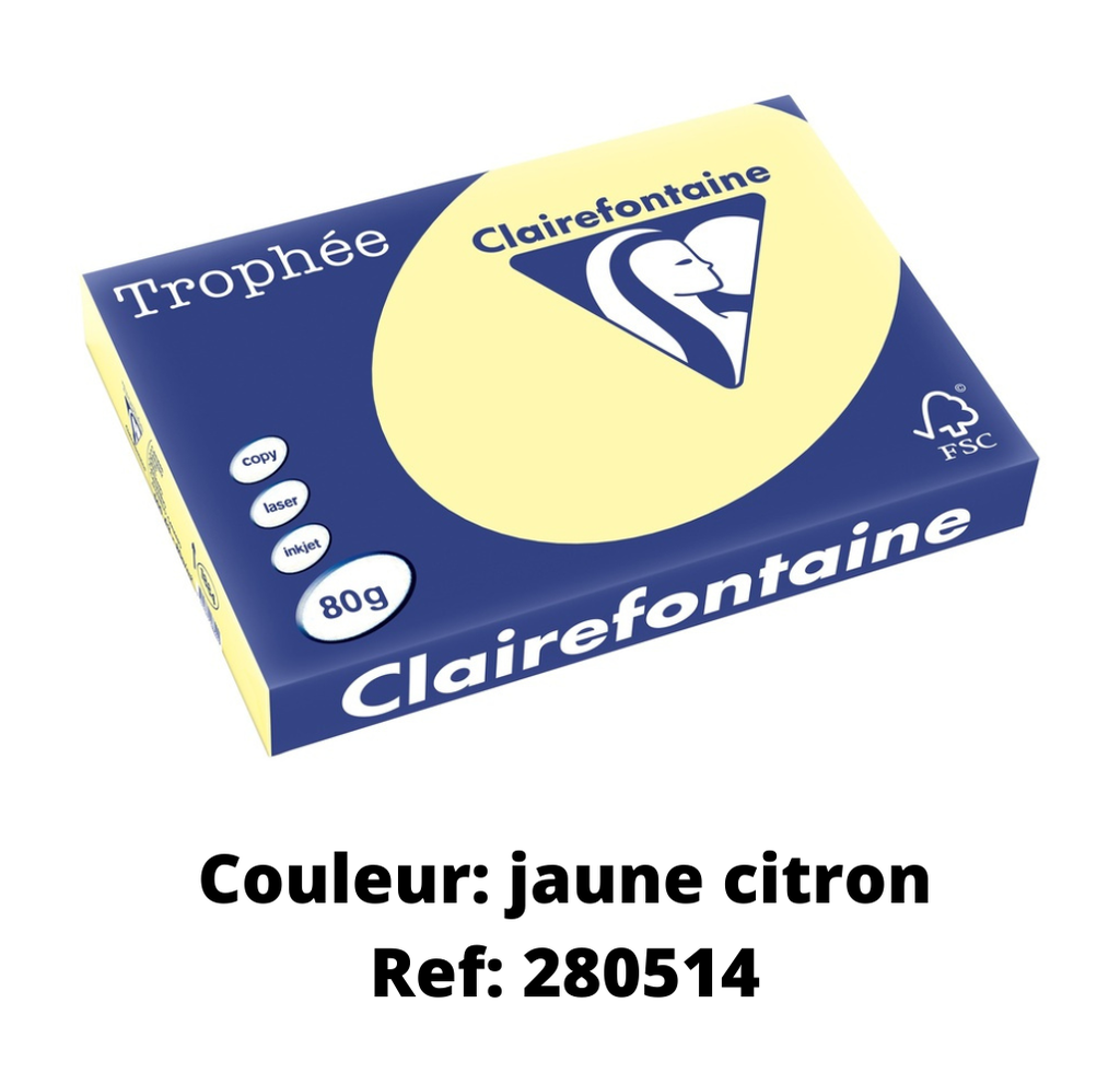 REPROPAPIER PASTELLFARBE 80G.A4 /500 *IN FARBE