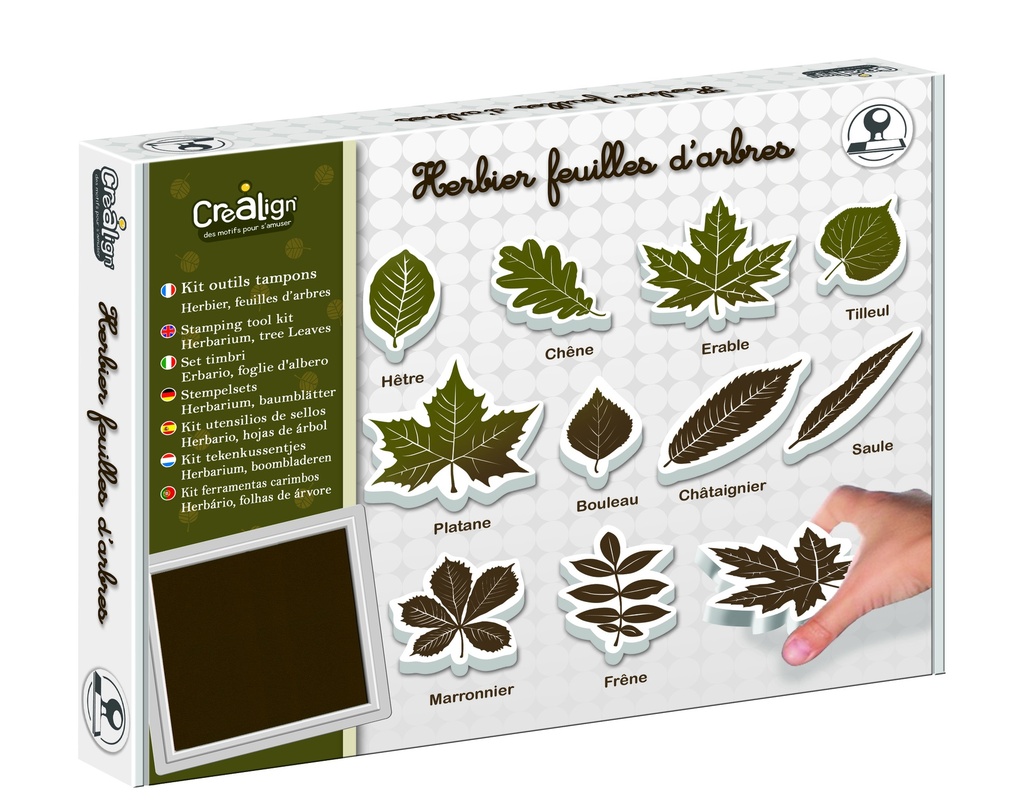 KIT OUTILS TAMPONS "FEUILLES D'ARBRES"