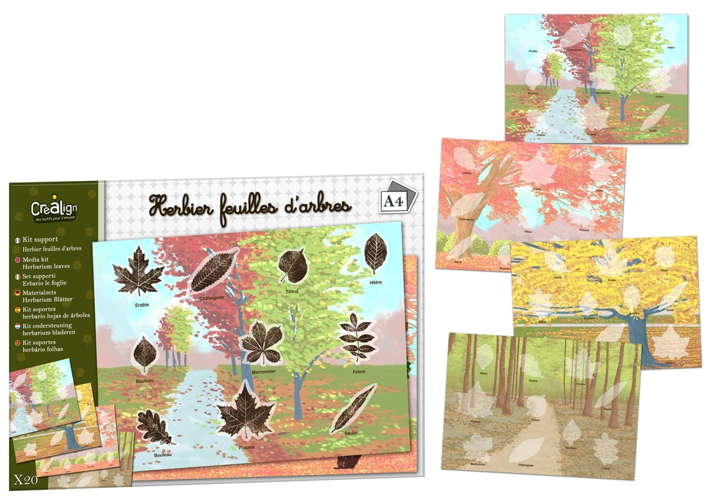 BLATTSTÜTZEN-SET "HERBARIUM-BAUMBLÄTTER"