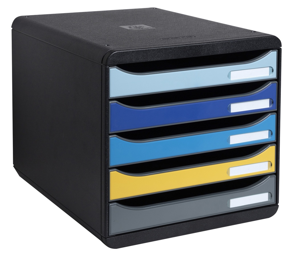 BEE-BLUE CLASSIFICATION MODULE