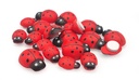 COCCINELLES EN BOIS, SACHET DE 20 PIÈCES