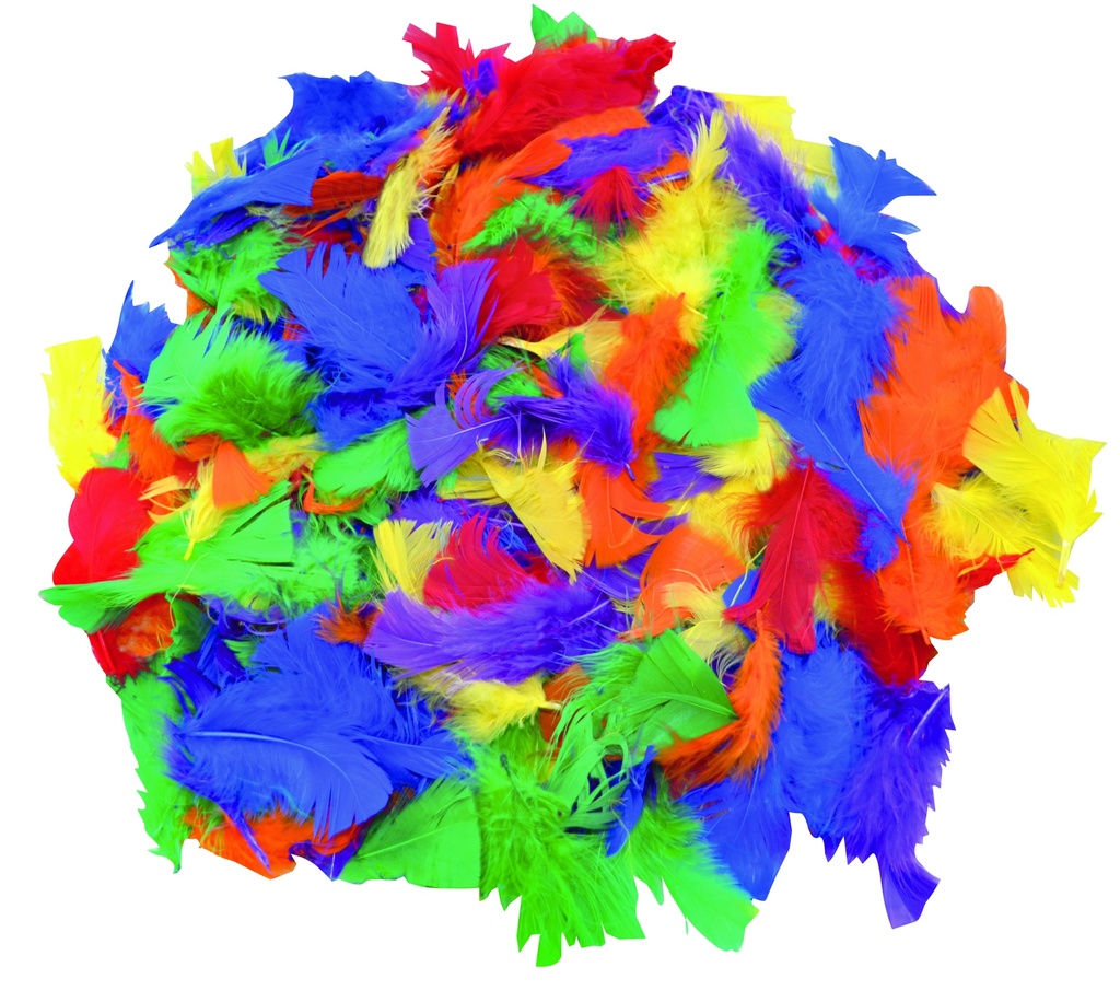 PLUMES DUVET ASSORTIES, SAC DE 1000