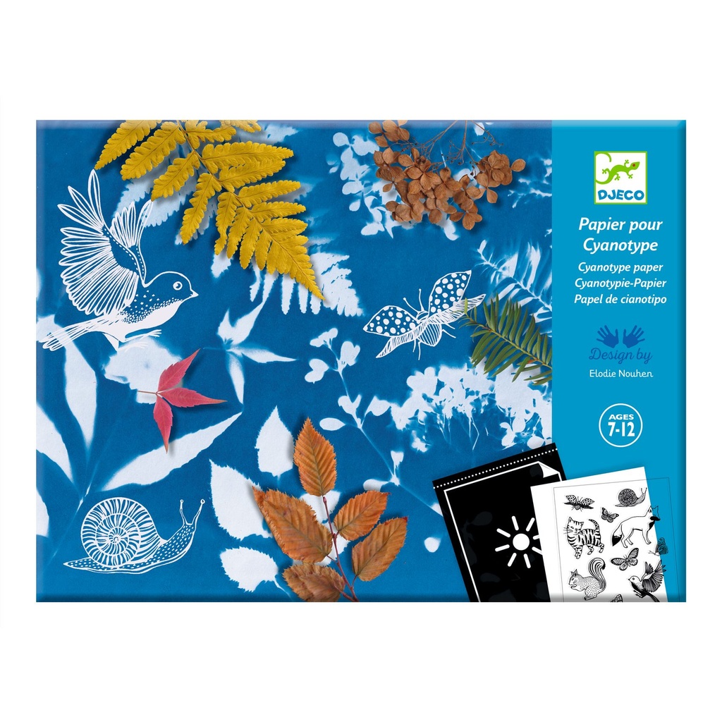 STARTER KIT CYANOTYPE