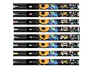BIC INTENSITY MARQUEURS PEINTURE PASTEL, ÉTUI DE 8