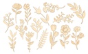 SILHOUETTES FLEURS, 13 CM