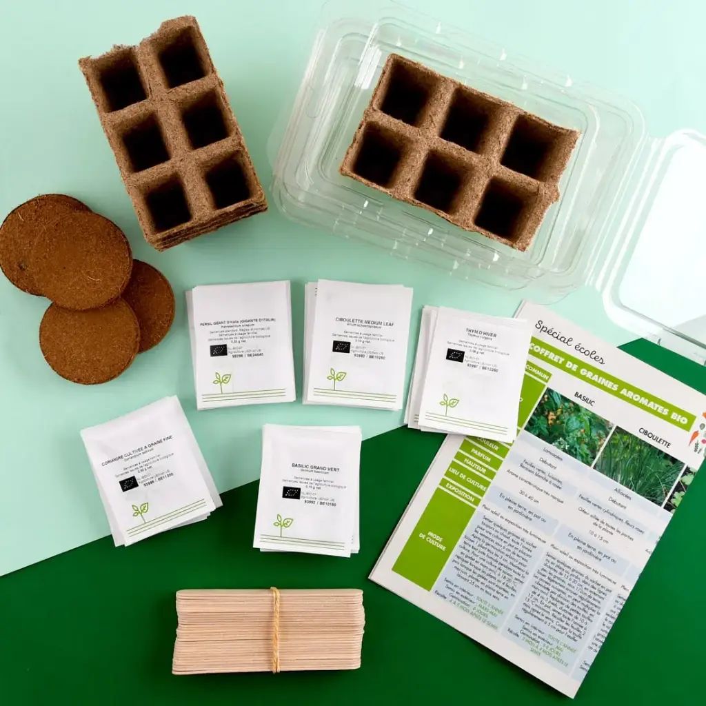 SCHOOL BOX: 5 ORGANIC HERBAL INGREDIENTS