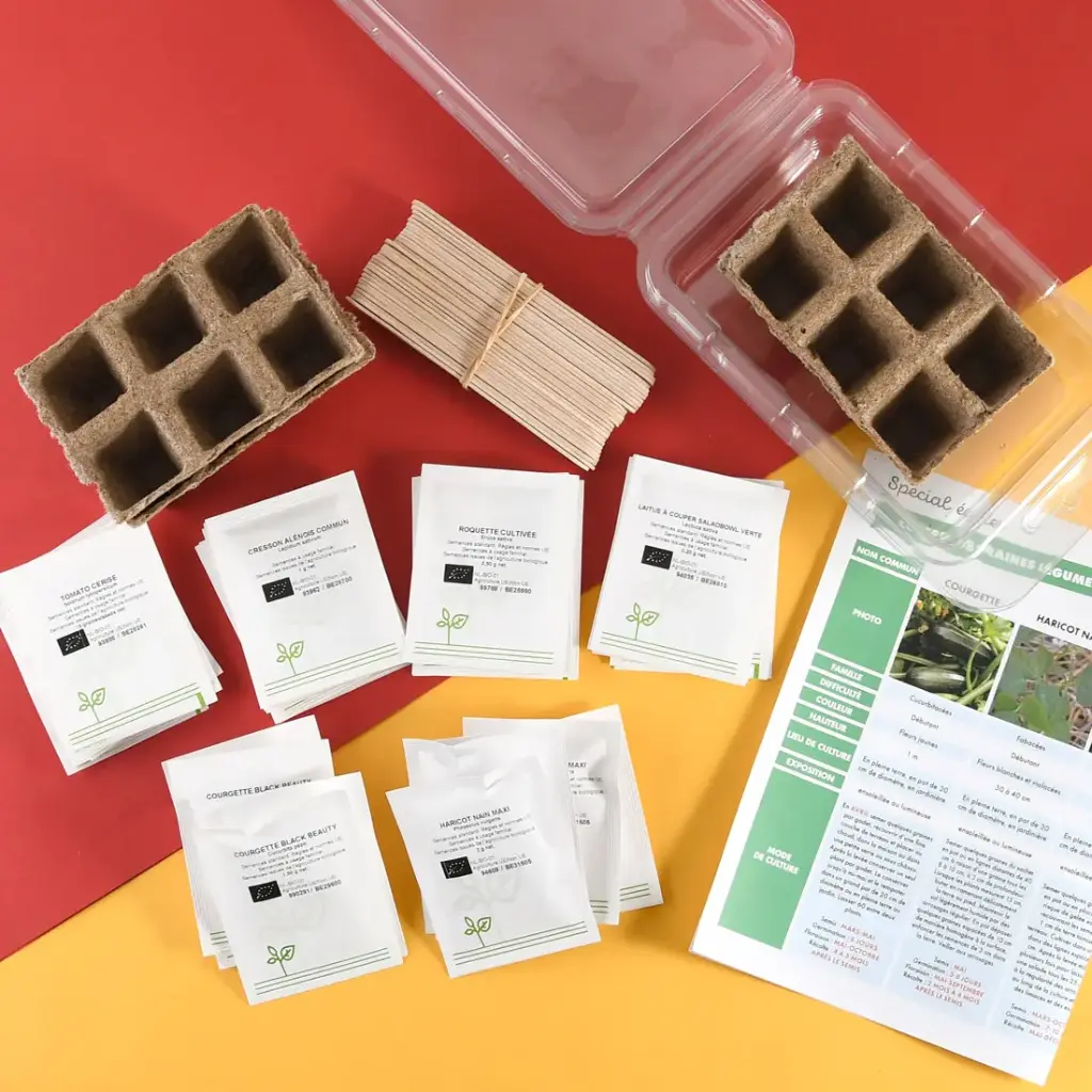 SCHOOL BOX: 6 ORGANIC VEGETABLES