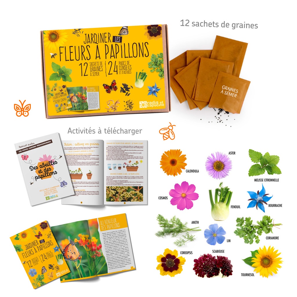 BUTTERFLIES AND BEES IN THE GARDEN BOX