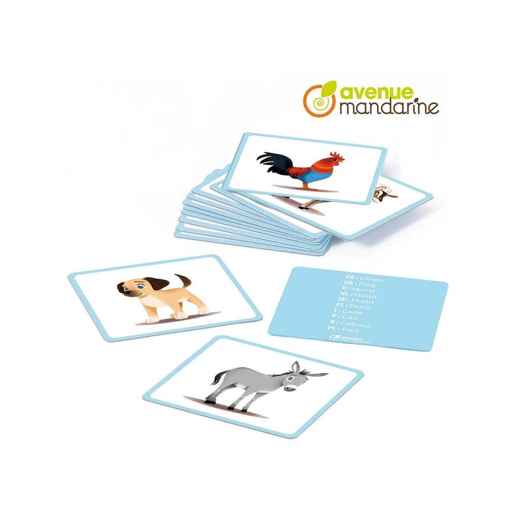 PICTURE BOOK: PETS