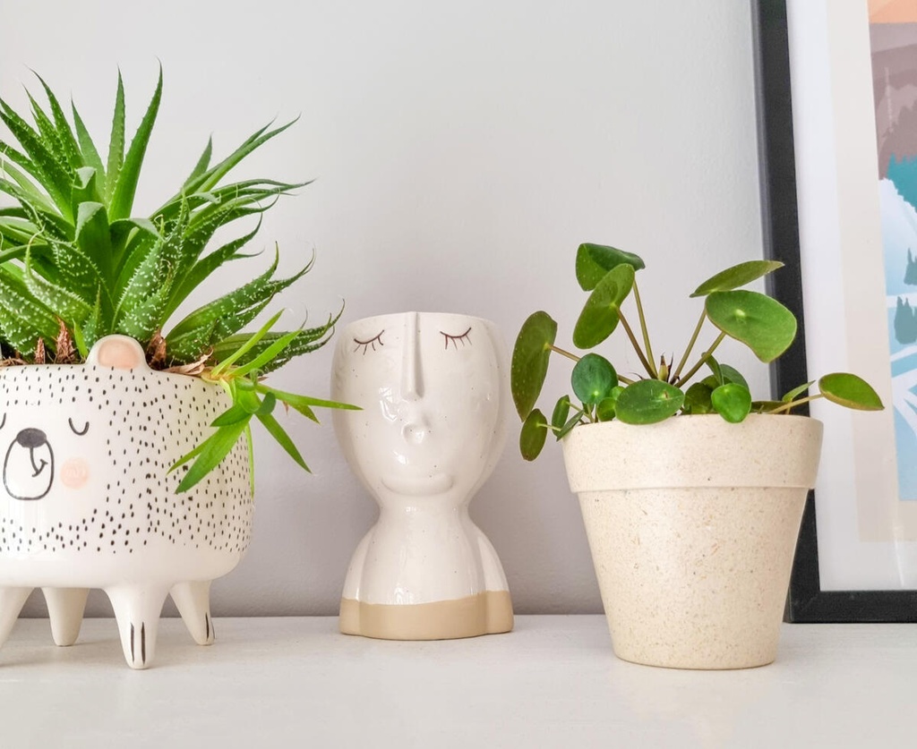 POT EN BAMBOU,  Ø 9.5 cm