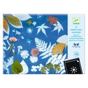 CYANOTYPE PAPER