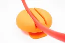 WalliBari HOOP HORLDERS, SET DE 4