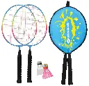 JUNIOR BADMINTON, THE SET