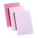 CARNETS A6 BRUYNZEEL, LOT DE 3