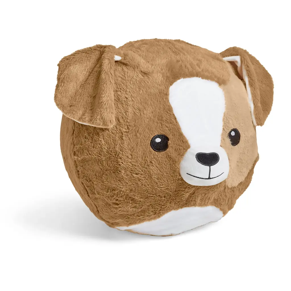 YOGA BALL BUDDY, CHIEN