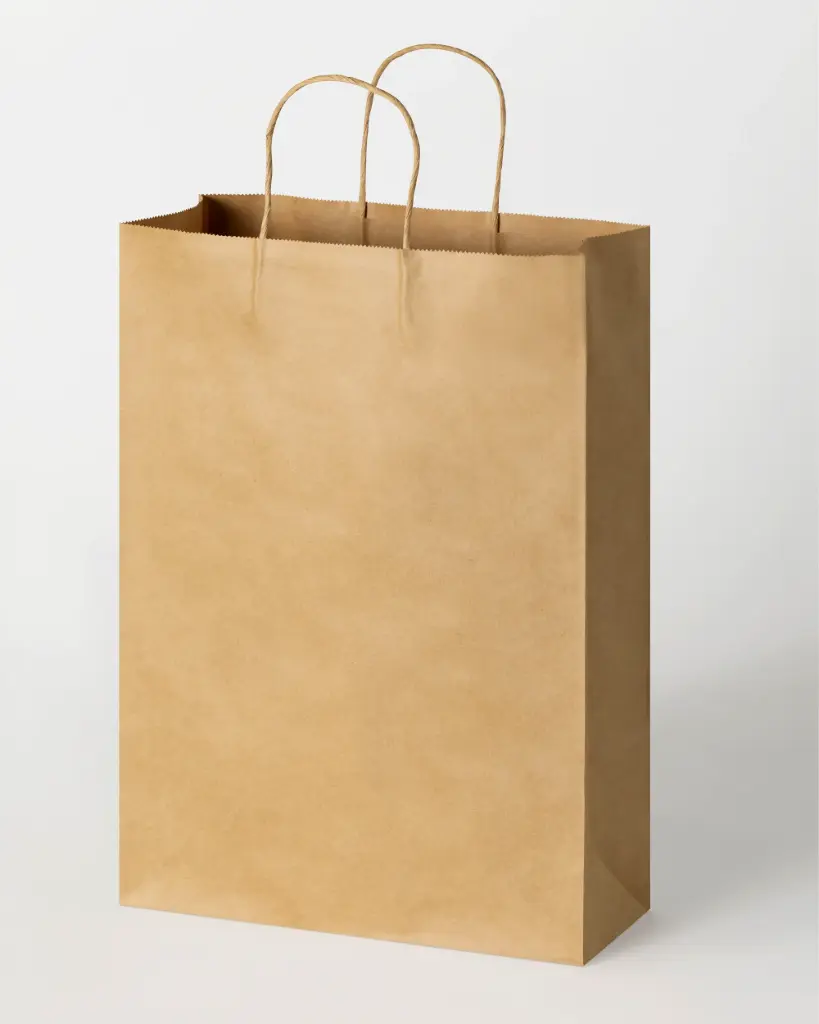 SAC KRAFT 40.5X24X7 CM/ PAQUET DE 20