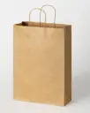 SACS KRAFT 31X42X11 CM/ PAQUET DE 15