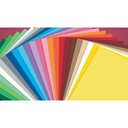 CARTON A4 180G. 25 COULEURS ASS., 500 FEUILLES 
