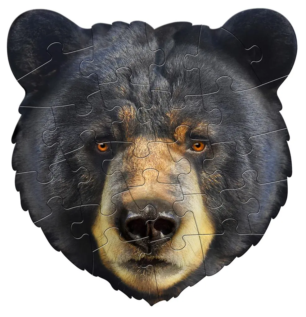 IAM BEAR, 24 PIÈCES