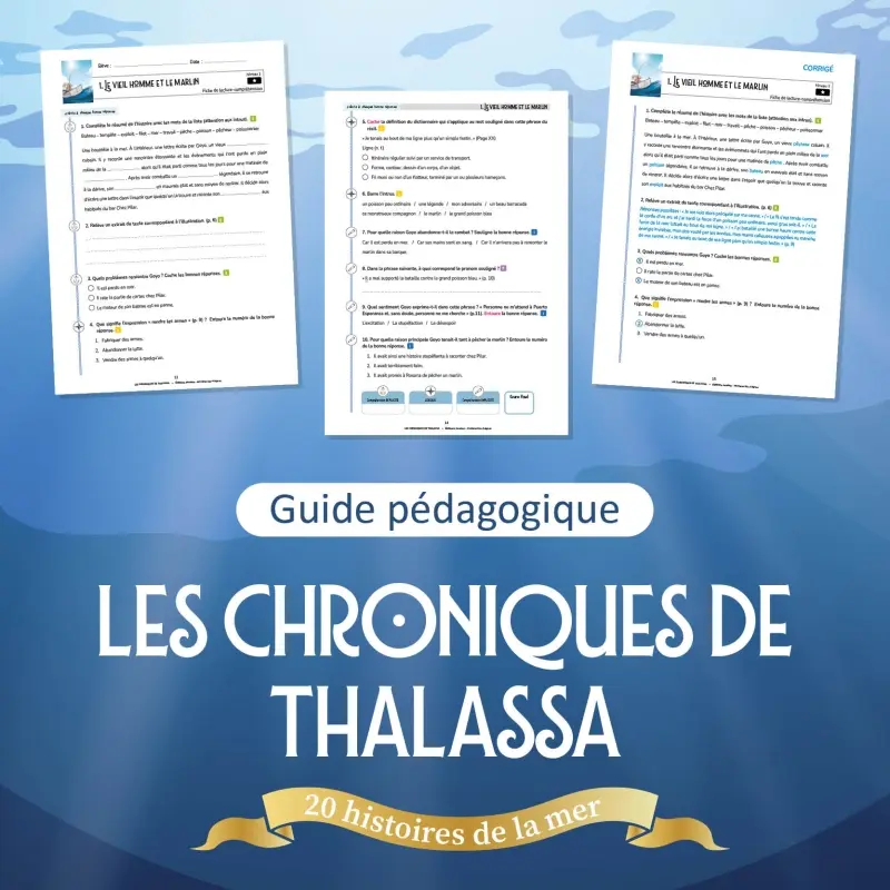LES CHRONIQUES DE THALASSA, LE FICHIER