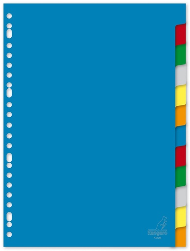 [3725] A4 12-POS UNDURCHSICHTIGE KUNSTSTOFF-TRENNBLÄTTER