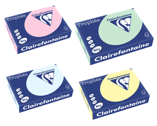 REPROPAPIER PASTELLFARBE 80G.A4 /500 *IN FARBE
