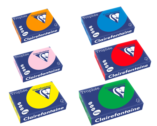 REPRO PAPER A4 160G BRIGHT COLOUR /250 *IN COLOUR