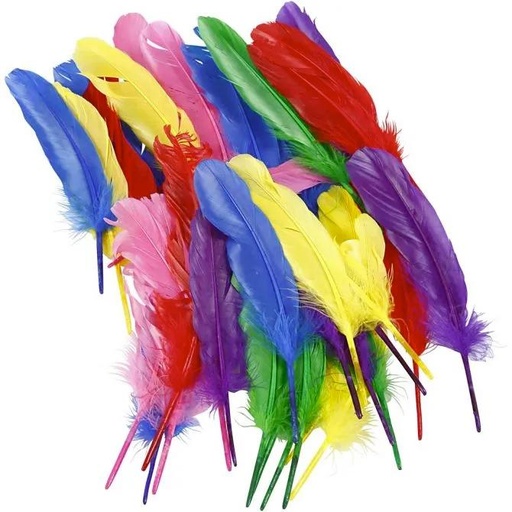 [82919B] PLUMES DE 20CM, SAC DE 36 PLUMES