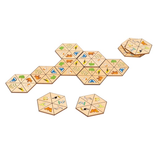 [90374] NATURE - HEXAGON
