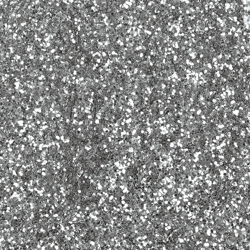 [814002B] BIOLOGISCH AFBREEKBARE ZILVEREN PAILLETTEN, 113GR POT
