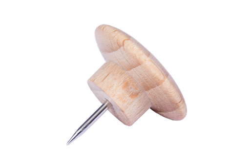 [73203] Houten punaises, 25 stuks