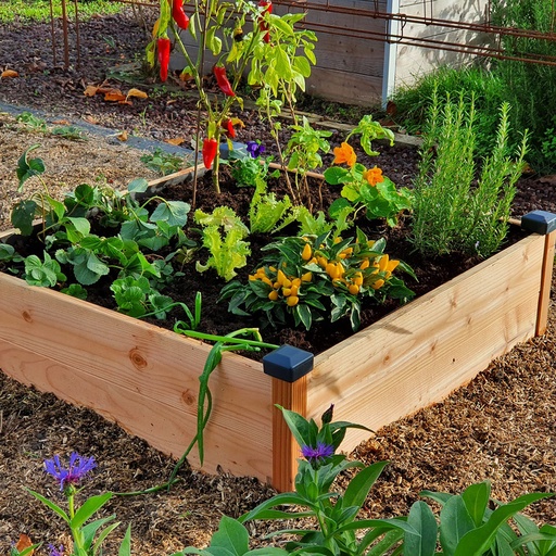 [26890] POTAGER EN BOIS DOUGLAS, LE PROJET SCOLAIRE