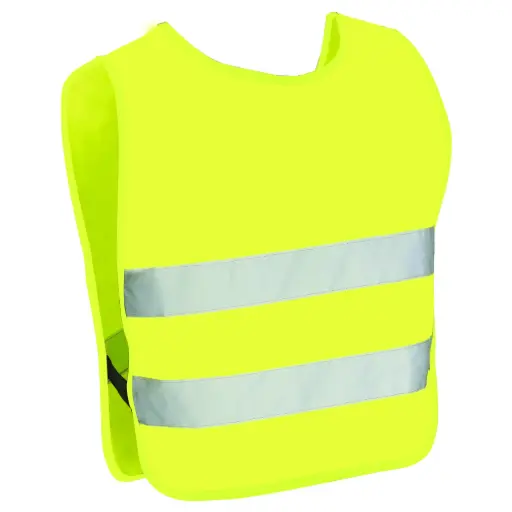 [2280] COUSSIN DE SOL XL GOWI