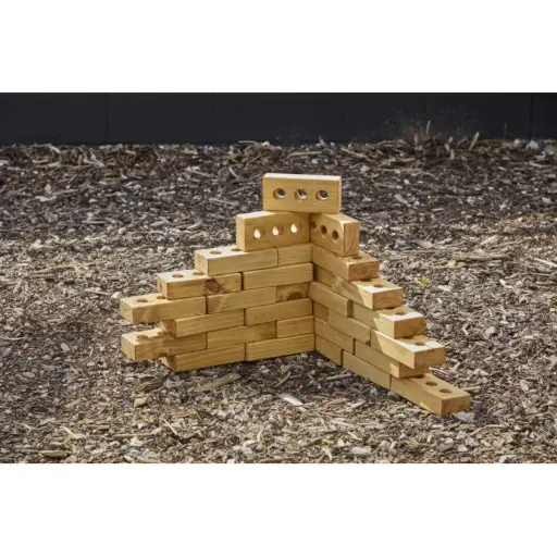 [CS2601] Briquettes en bois (30 pièces)